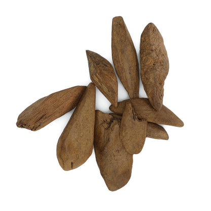 Javanese Oud